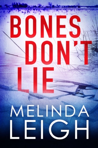 Morgan Dane book cover 3