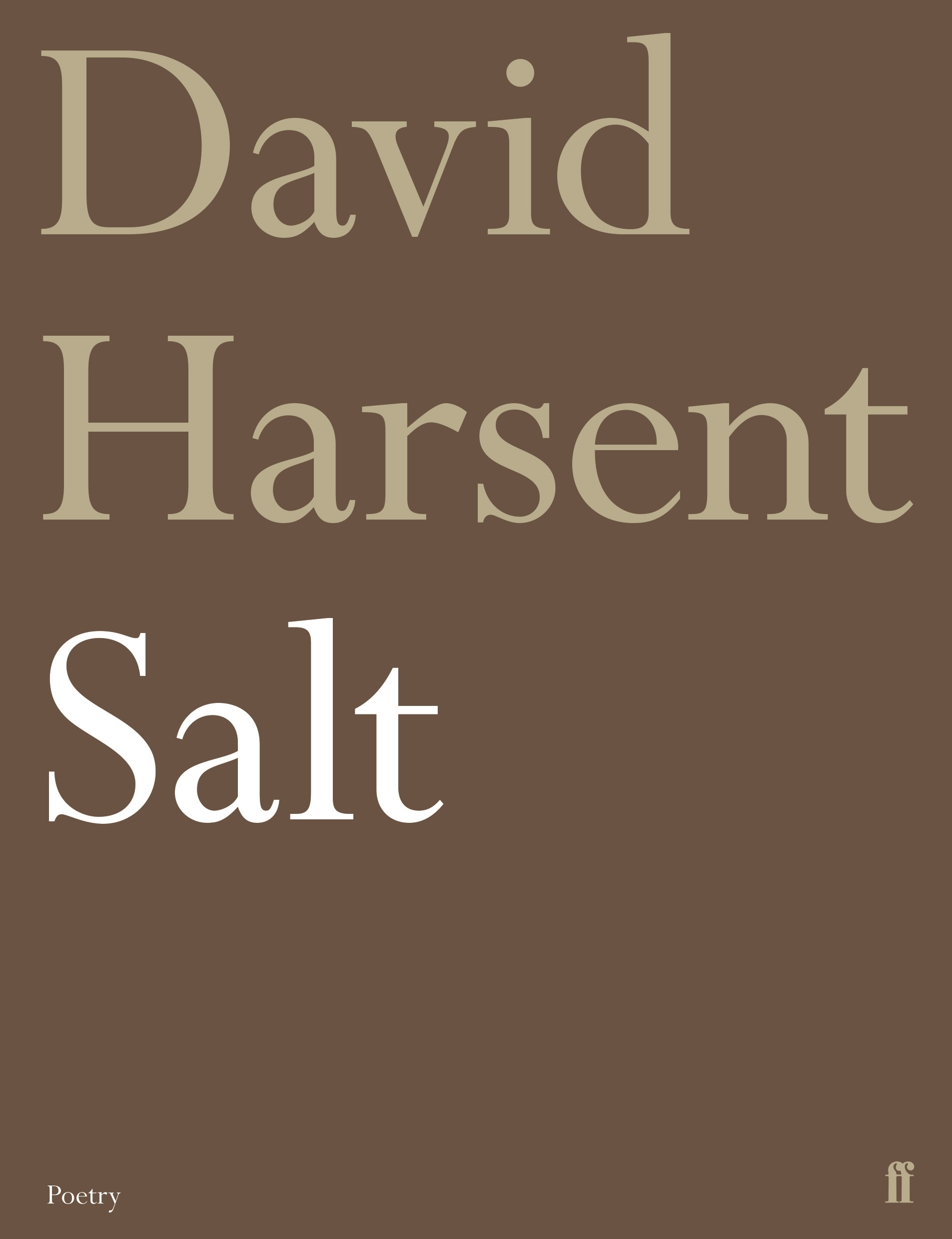 Salt book cover