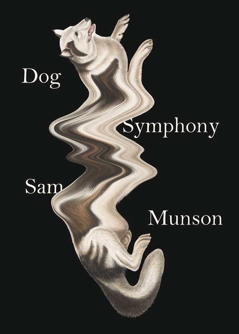 Dog Symphony book cover