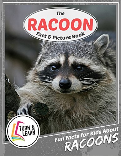 The Raccoon Fact and Picture Book: Fun Facts for Kids About Raccoons by ...