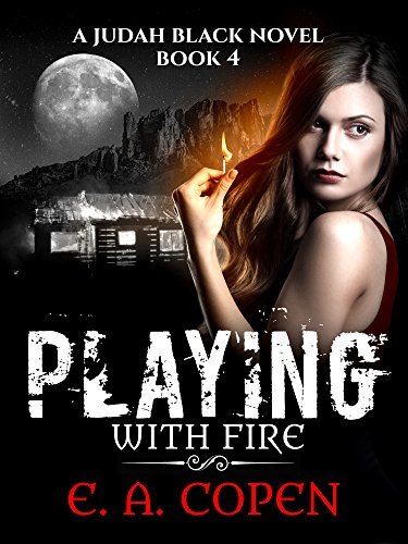 Playing with Fire book cover