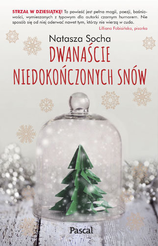 Dwanaście niedokończonych snów book cover