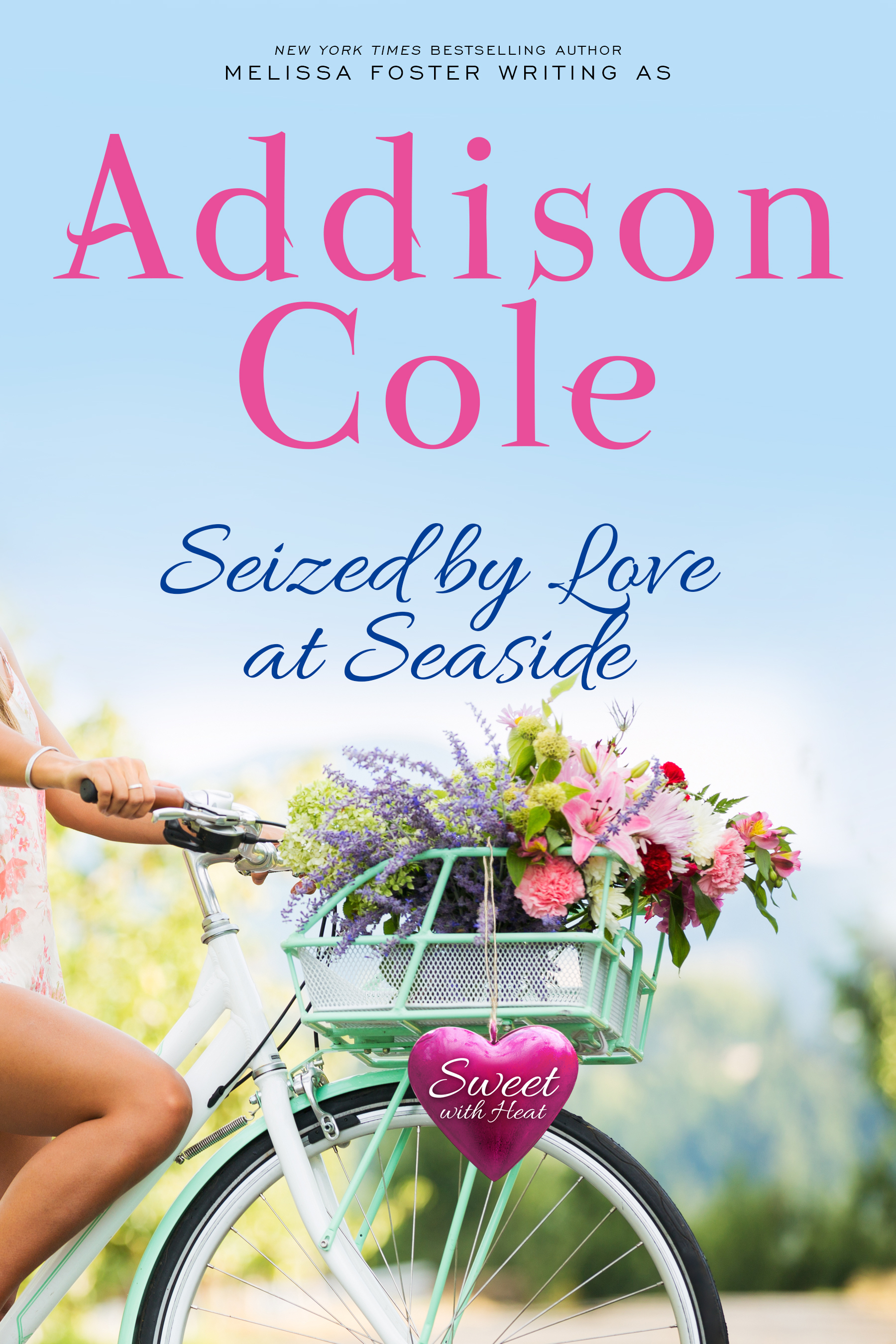 Seized by Love at Seaside book cover