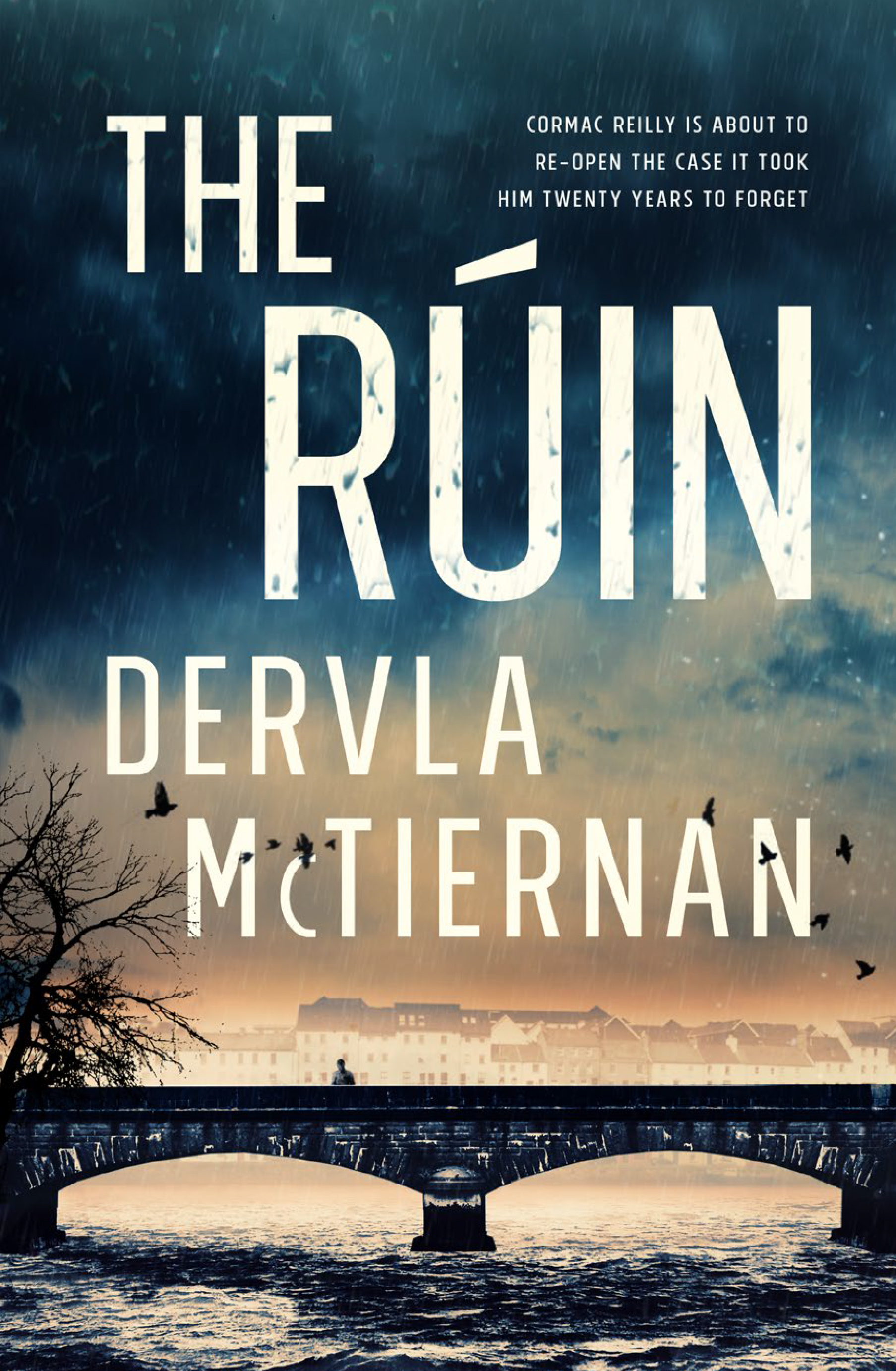 The Ruin (Cormac Reilly, #1)
