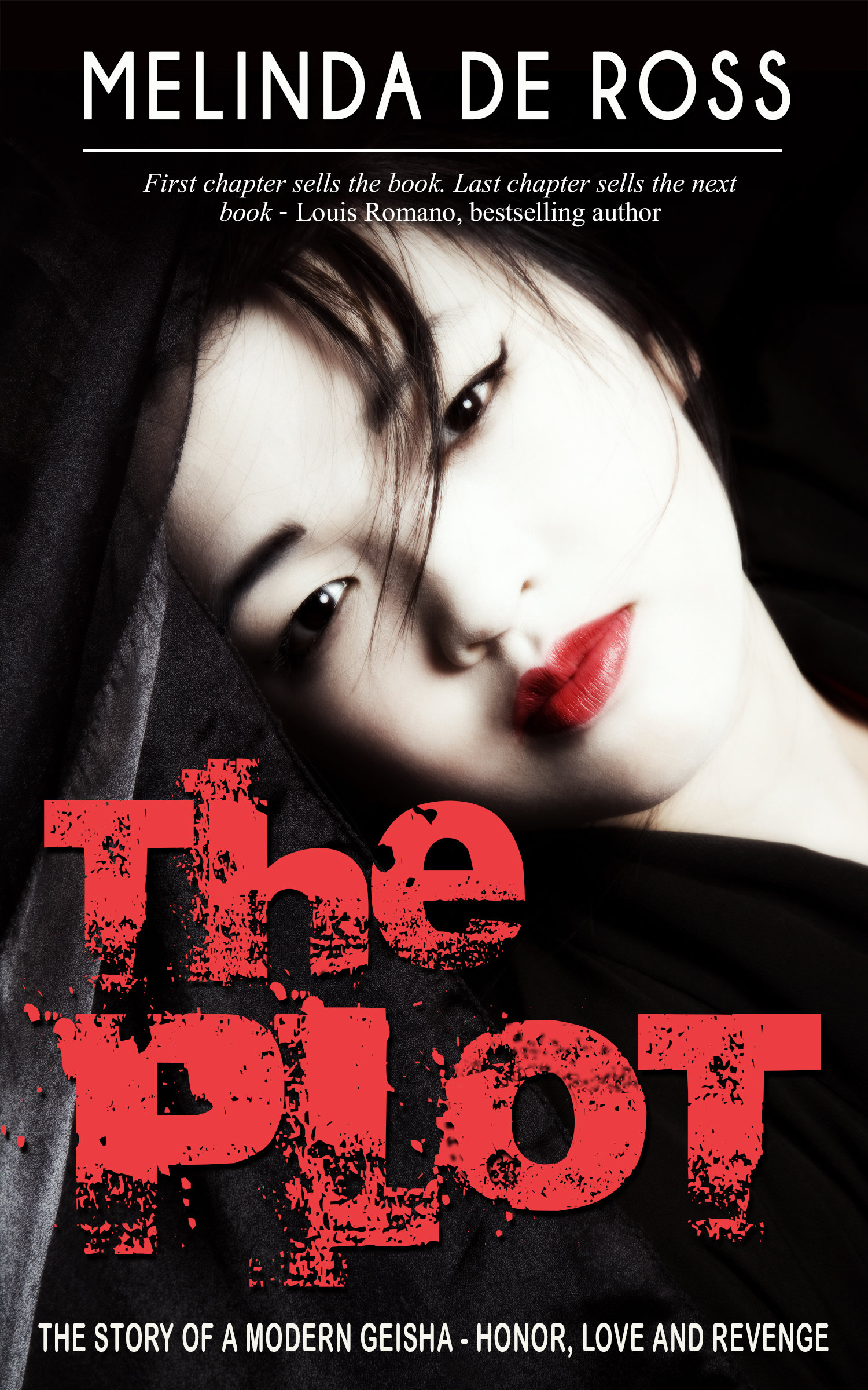 The Plot book cover