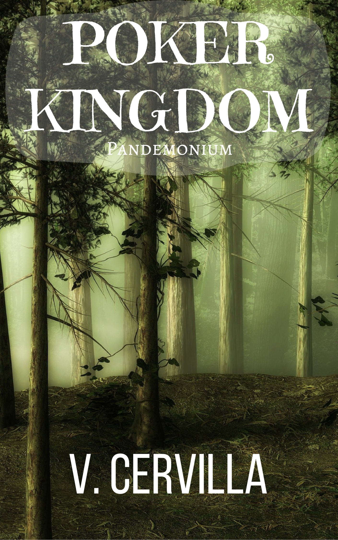 Poker Kingdom book cover 2