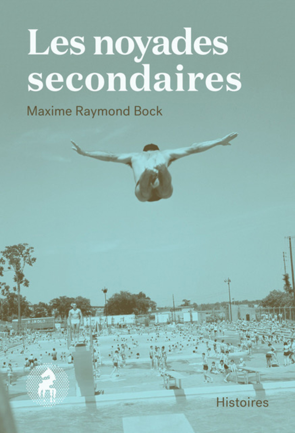 Les noyades secondaires book cover