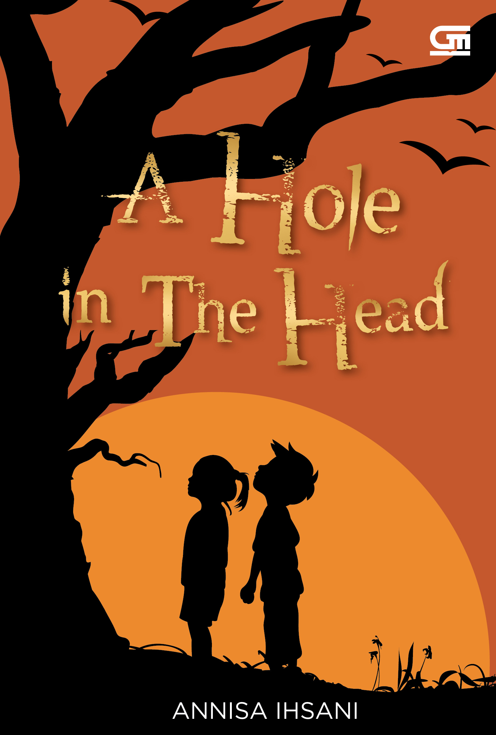 A Hole in The Head book cover