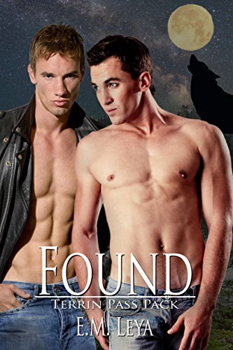 Found book cover