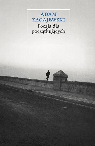 Poezja dla początkujących book cover