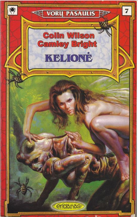Kelionė book cover
