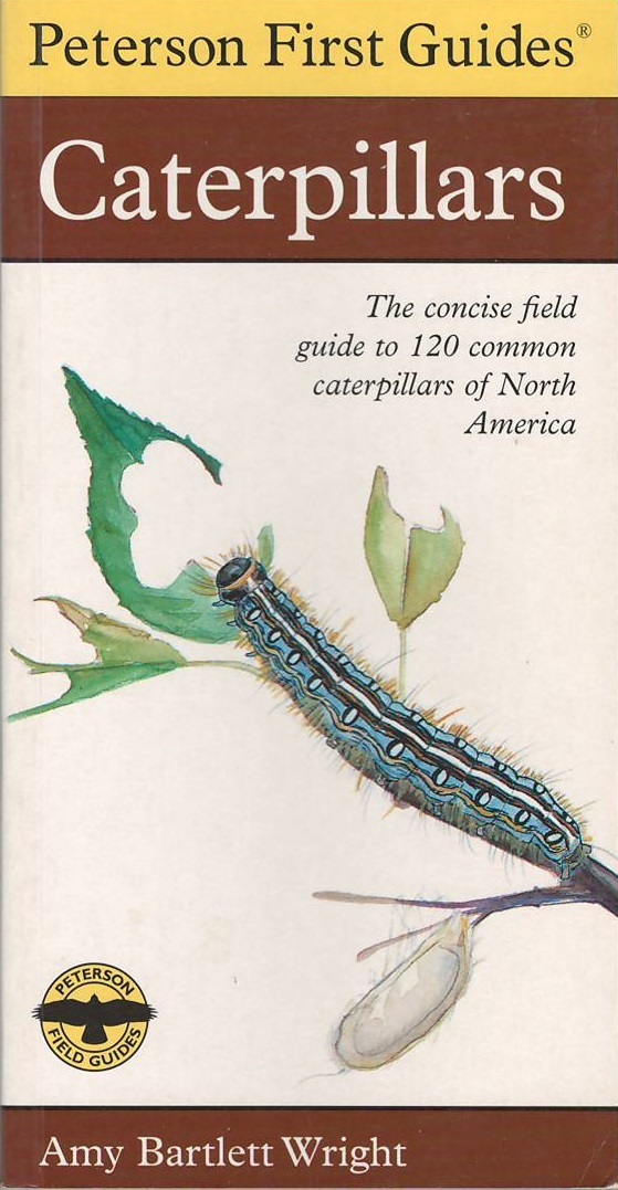 Caterpillars by Amy Bartlett Wright | Goodreads