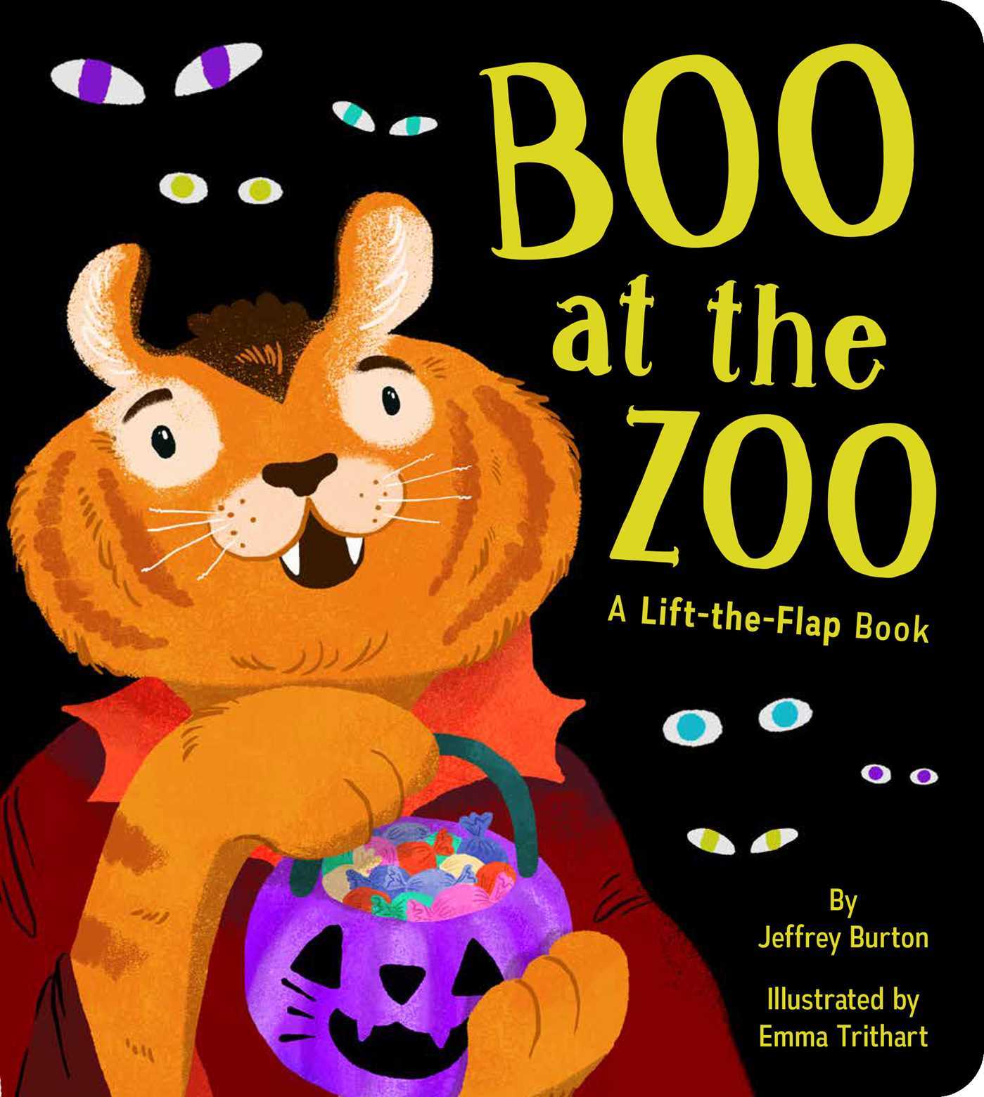 Boo at the Zoo book cover