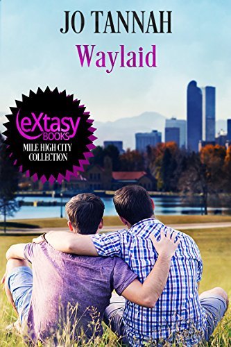 Waylaid book cover