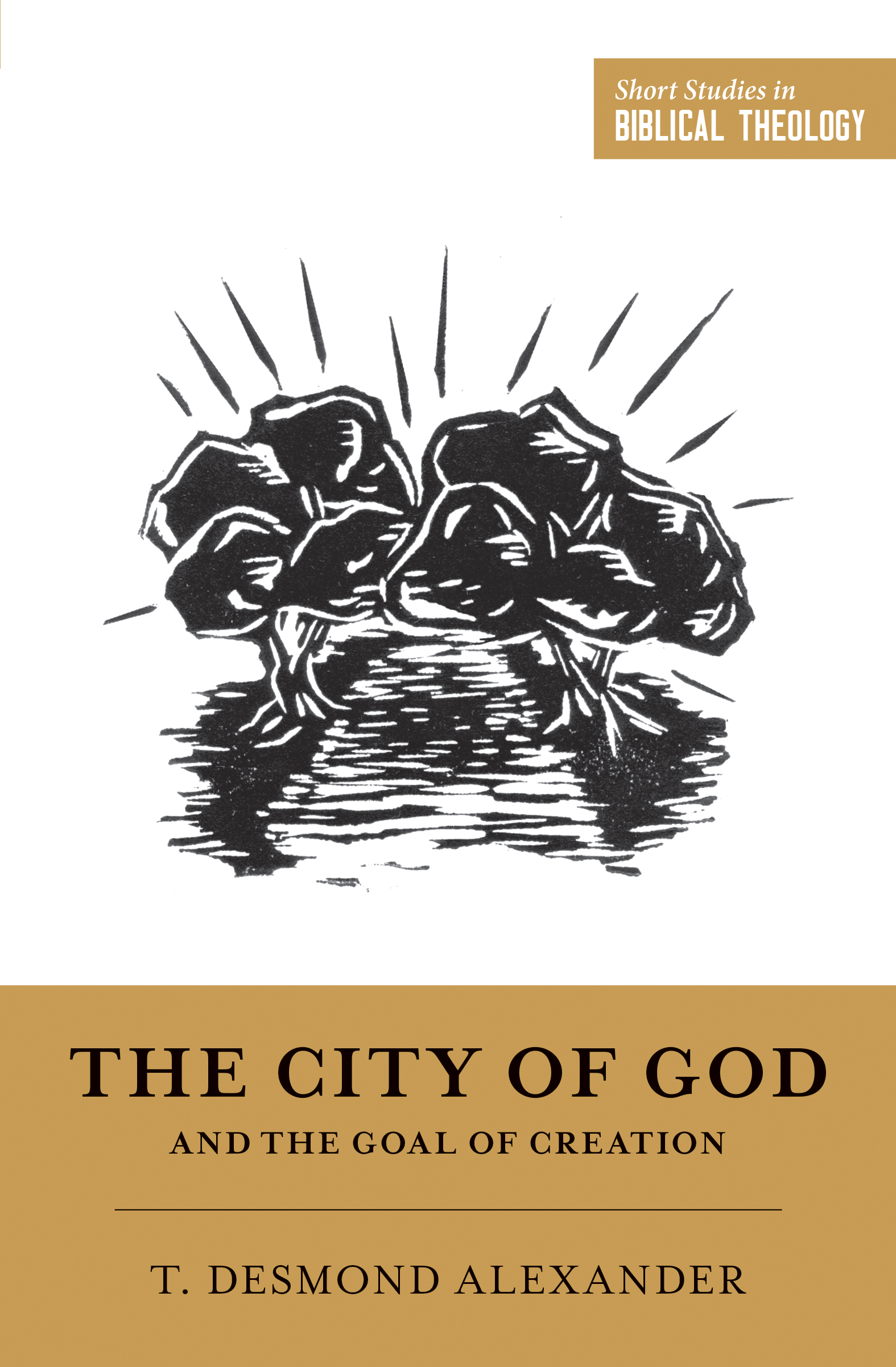 The City of God and the Goal of Creation book cover