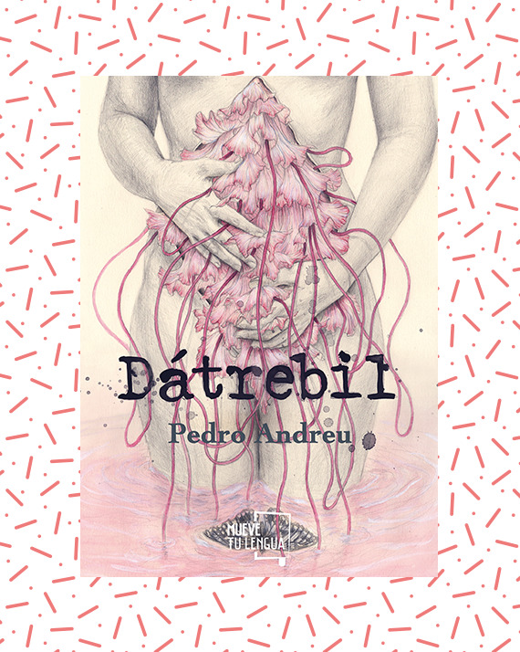 Dátrebil book cover