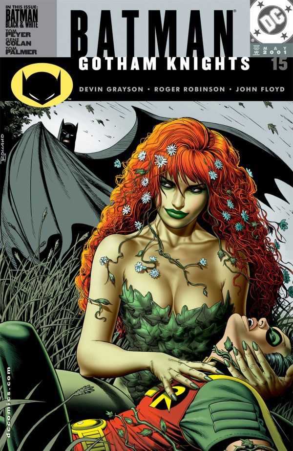 Batman book cover