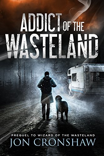 Addict of the Wasteland book cover