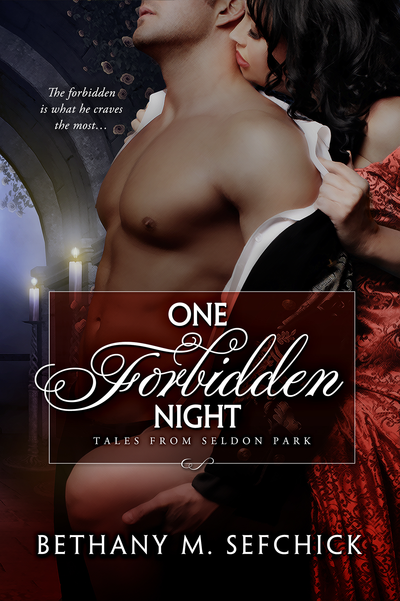 One Forbidden Night book cover