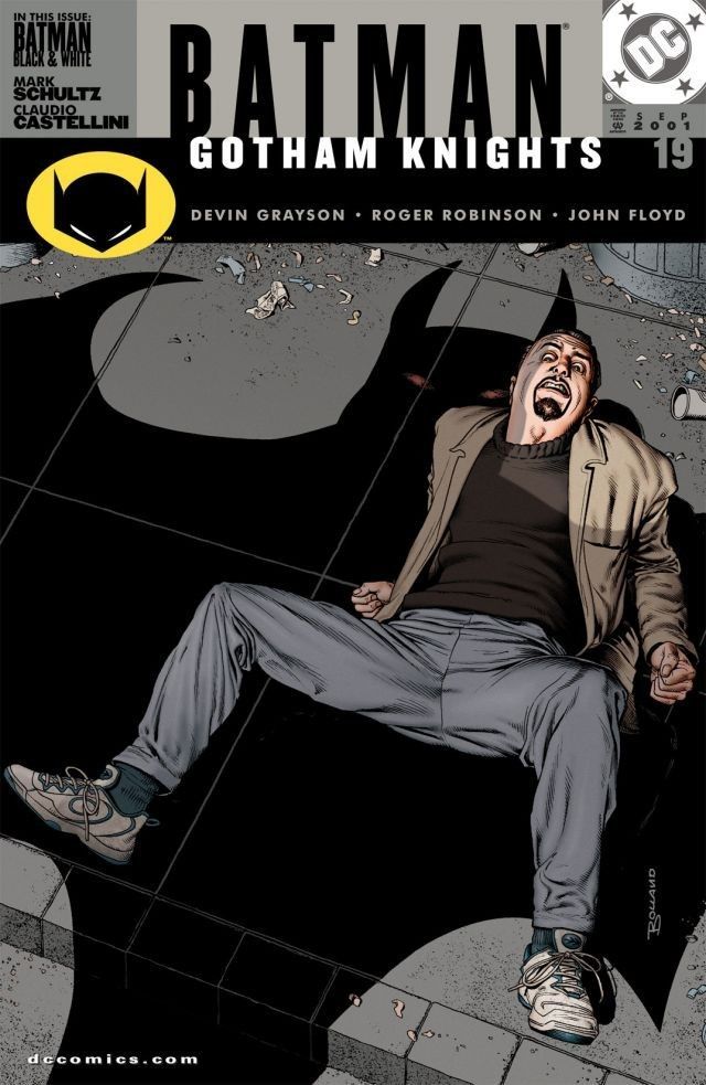 Batman book cover
