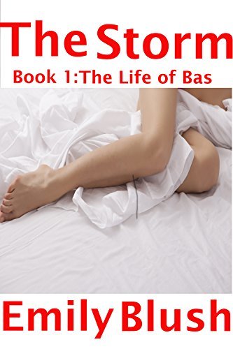 The Storm: Book 1: The Life of Bas
