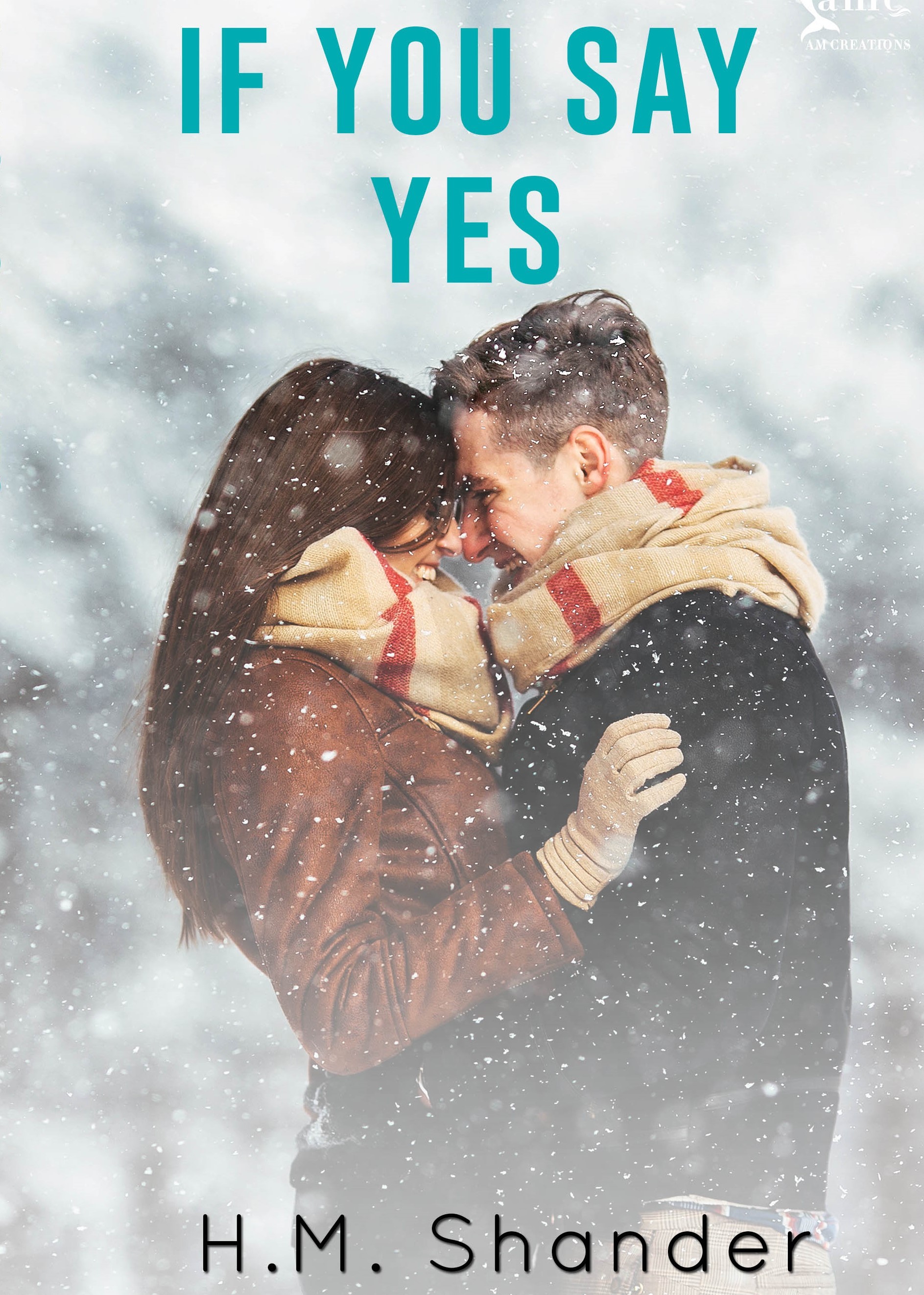 If You Say Yes book cover