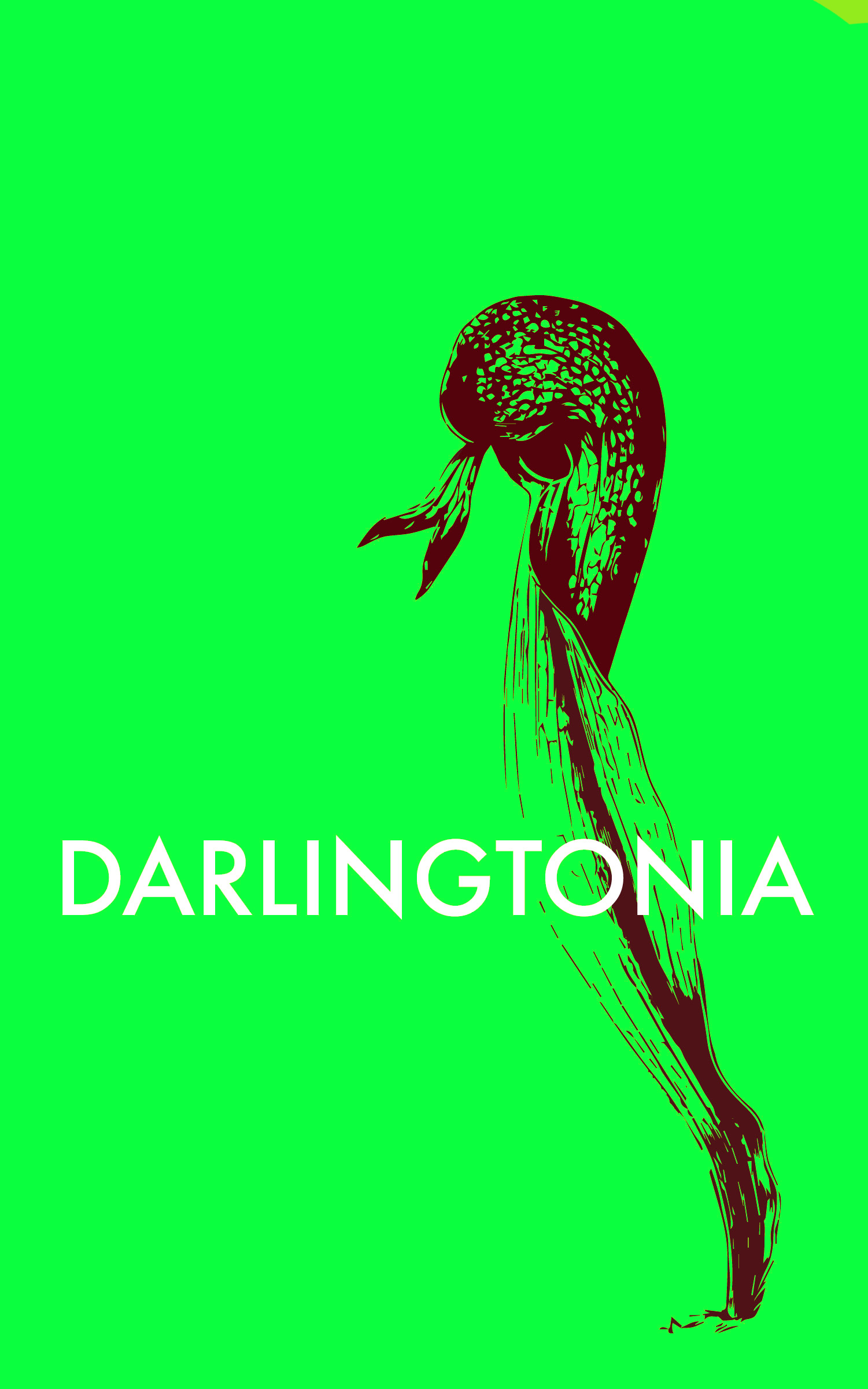 Darlingtonia