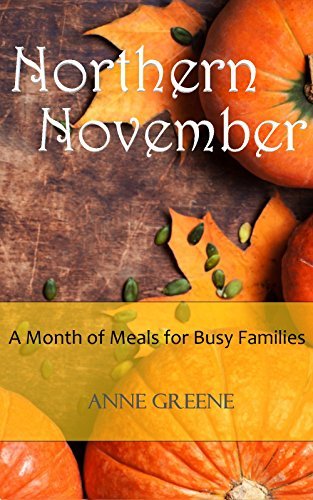 Northern November book cover