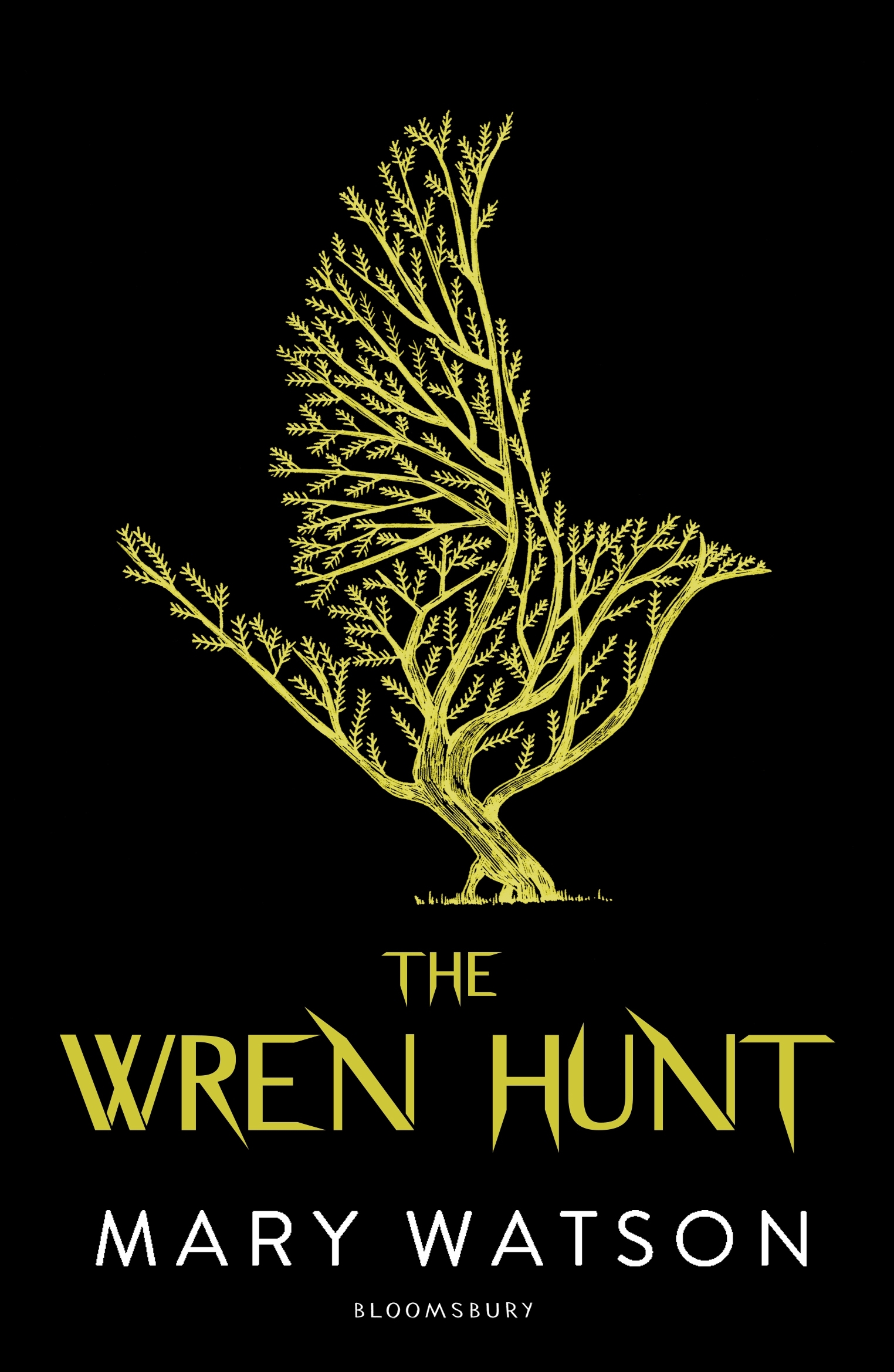 The Wren Hunt (The Wren Hunt, #1)