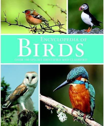 Birds by Parragon Books | Goodreads
