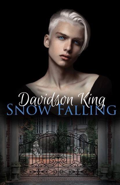 Snow Falling (Haven Hart Universe, #1)