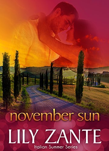 November Sun book cover