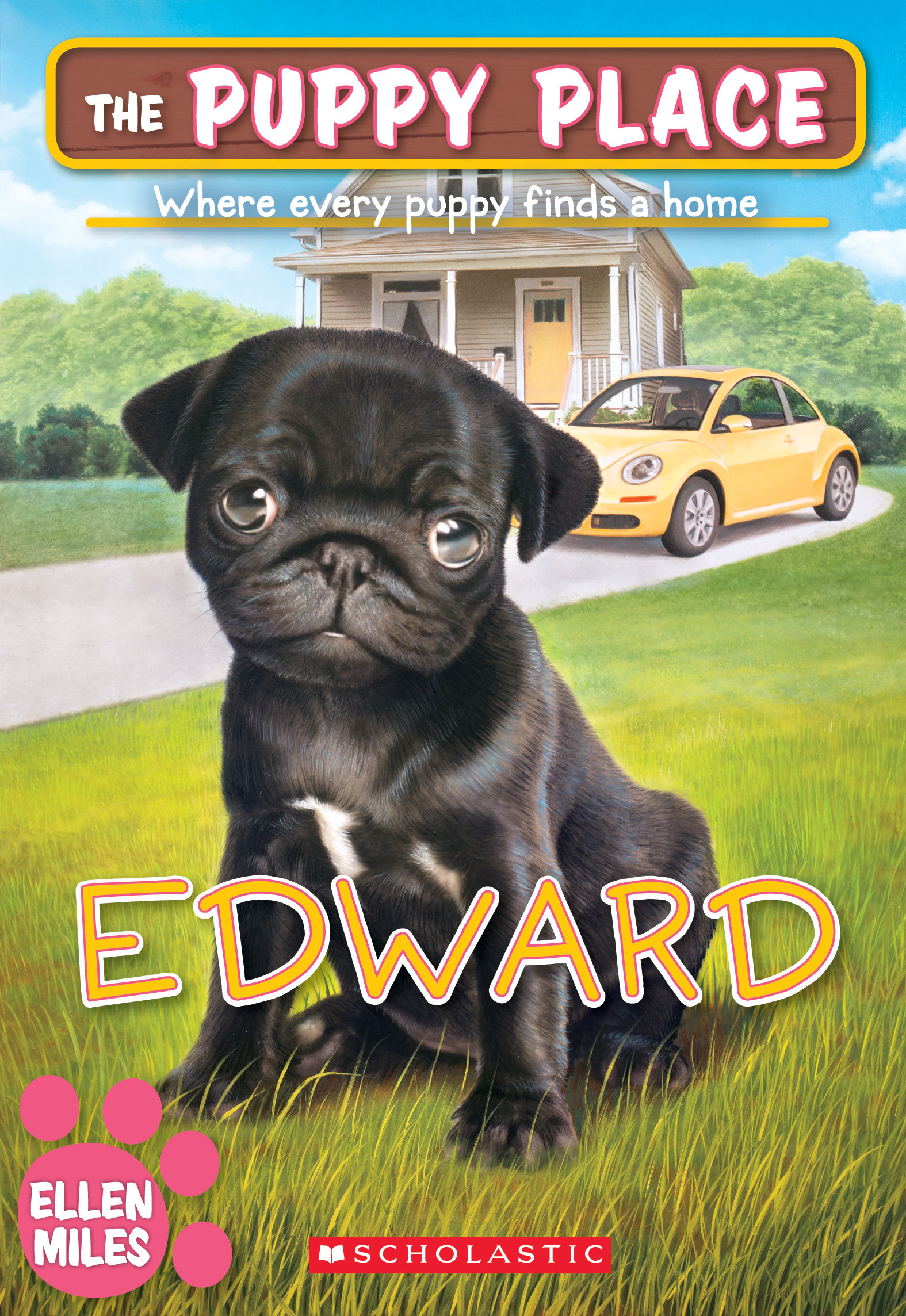 Edward book cover