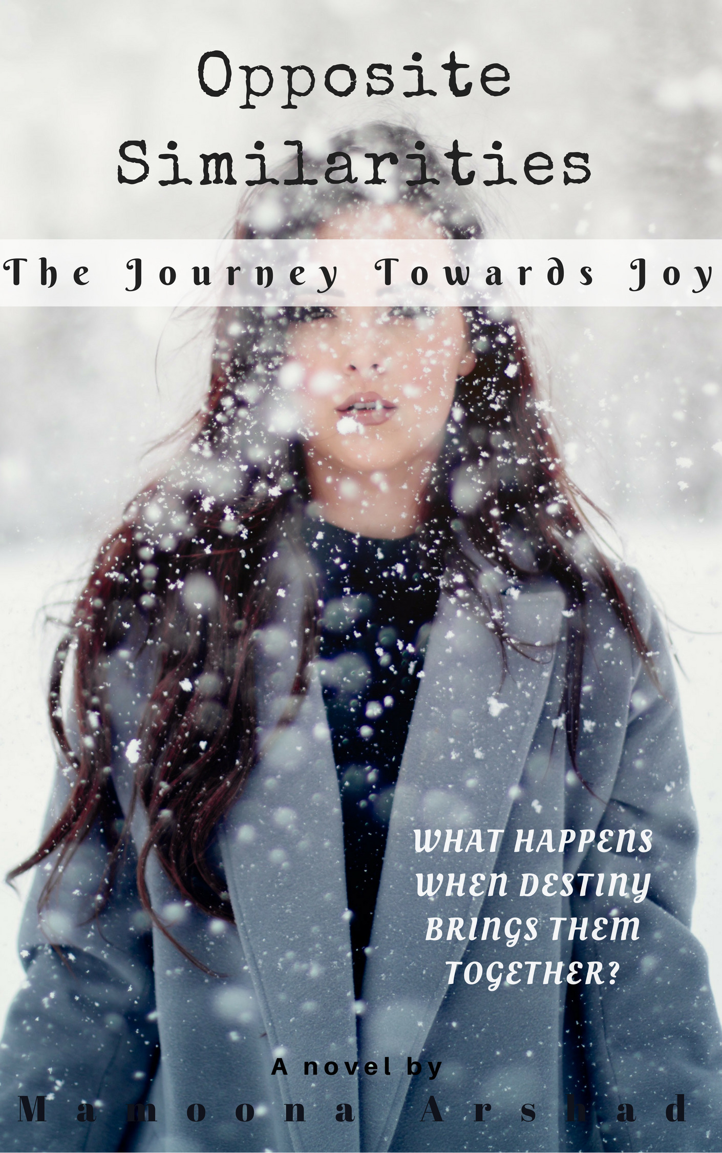 Opposite Similarities cover