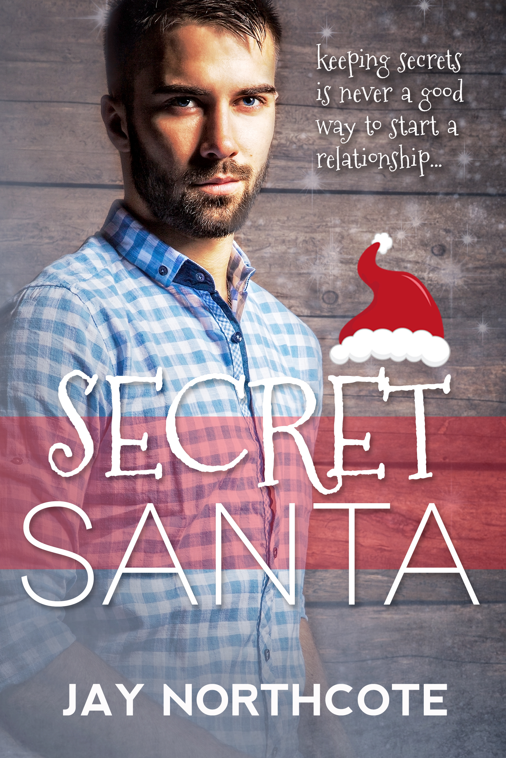 Secret Santa book cover