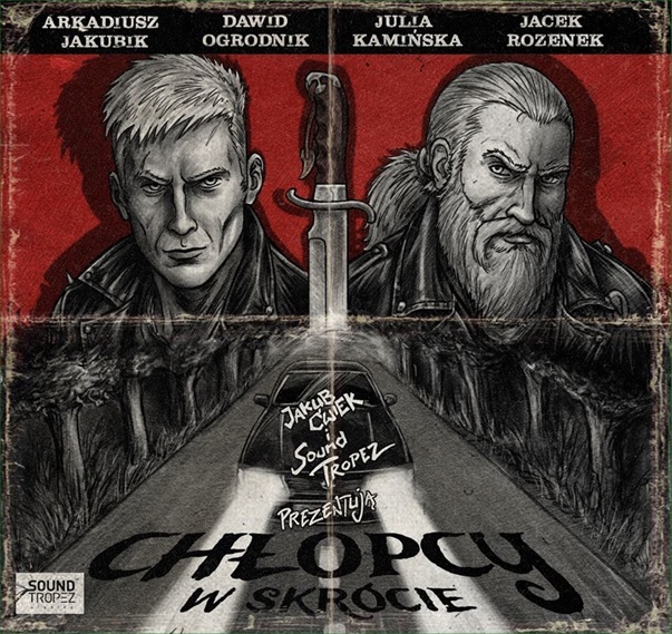 Chłopcy. W skrócie book cover