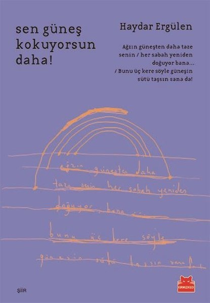 Sen Güneş Kokuyorsun Daha! book cover