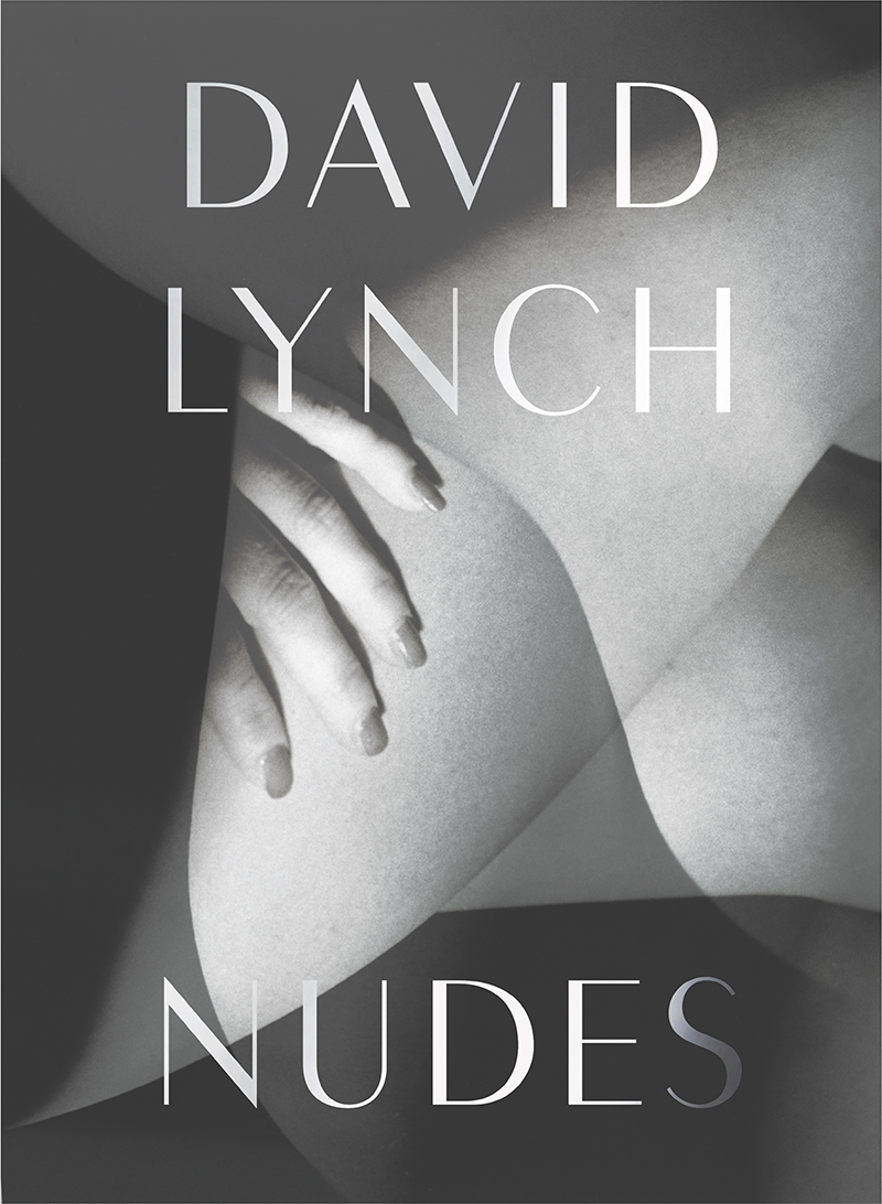 Nudes book cover