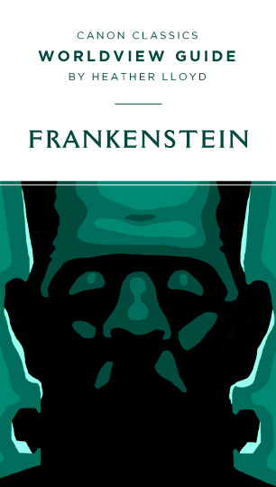 Frankenstein book cover