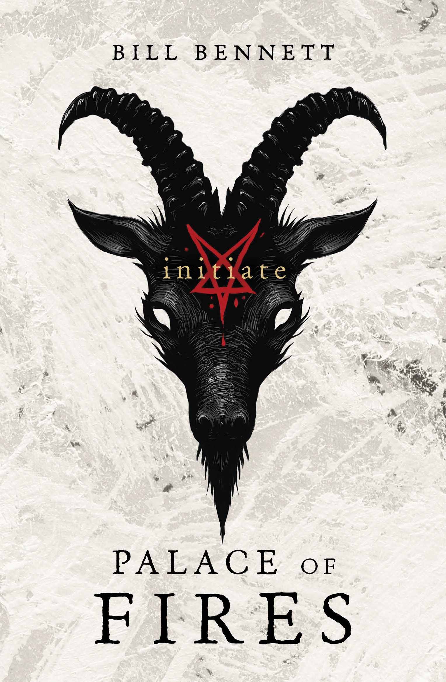 Palace of Fires (Initiate, #1)