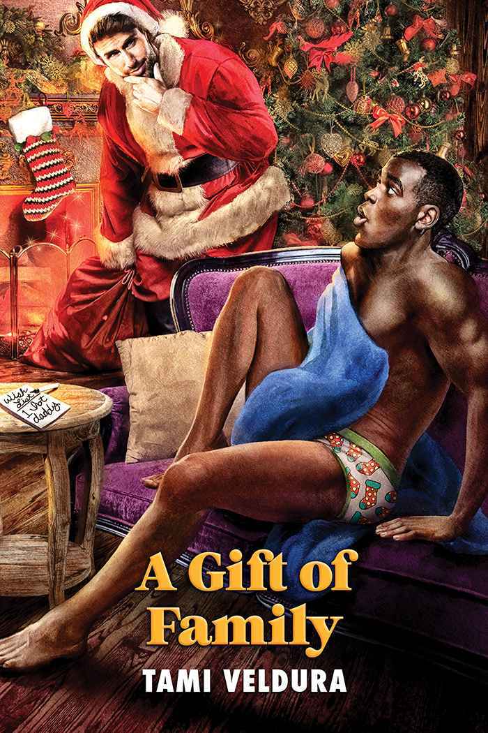 A Gift of Family book cover