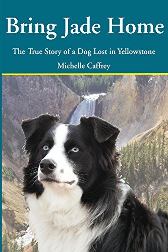 Bring Jade Home: The True Story of a Dog Lost in Yellowstone and the People Who Searched for Her
