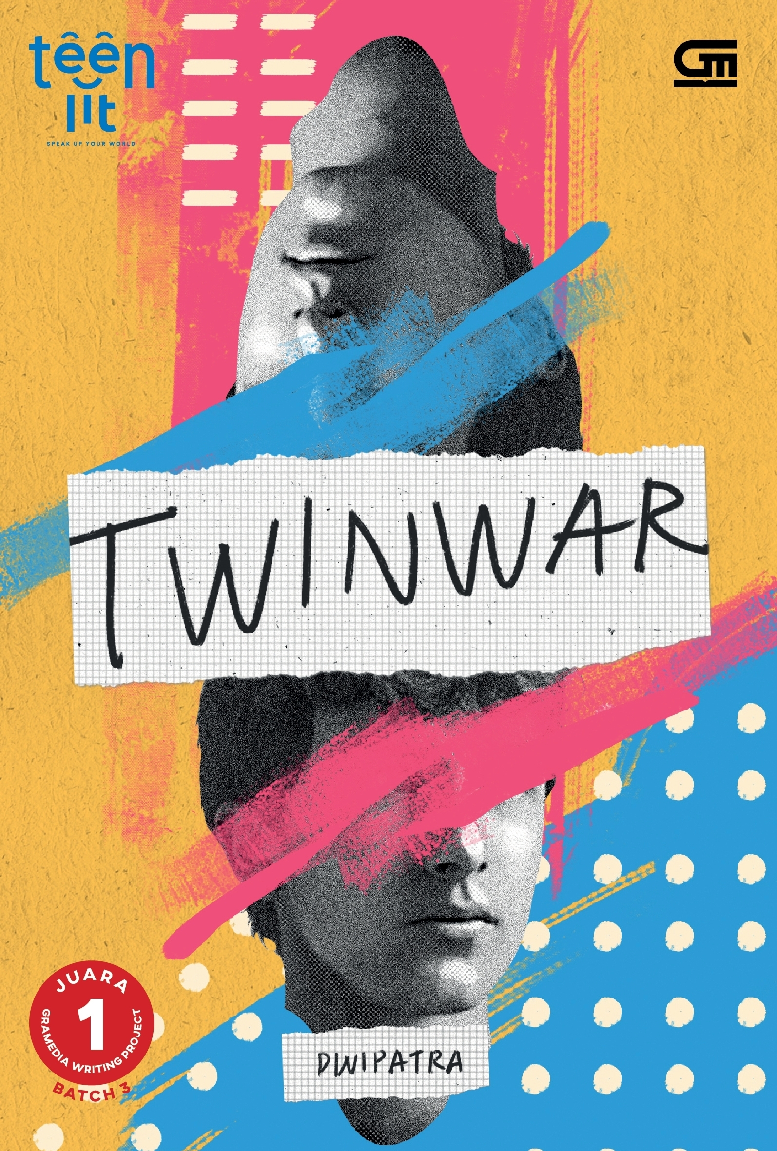 TwinWar book cover