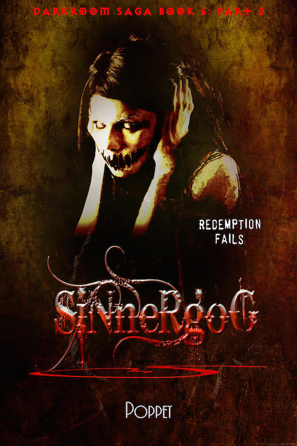 Sinnergog book cover