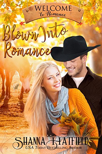 Blown Into Romance book cover