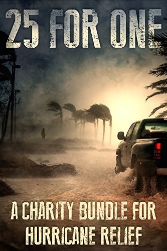 25 For One book cover