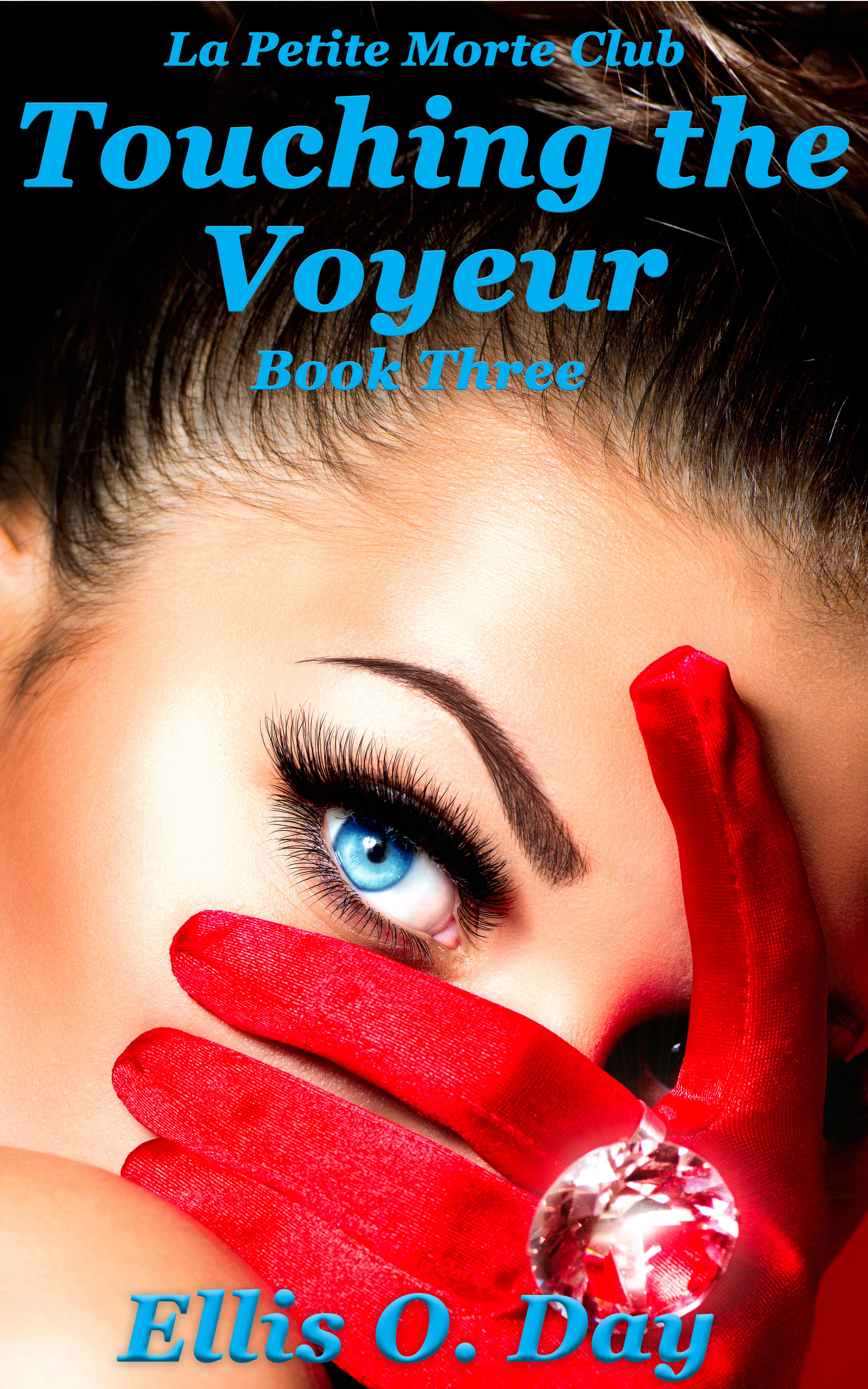 Touching the Voyeur book cover