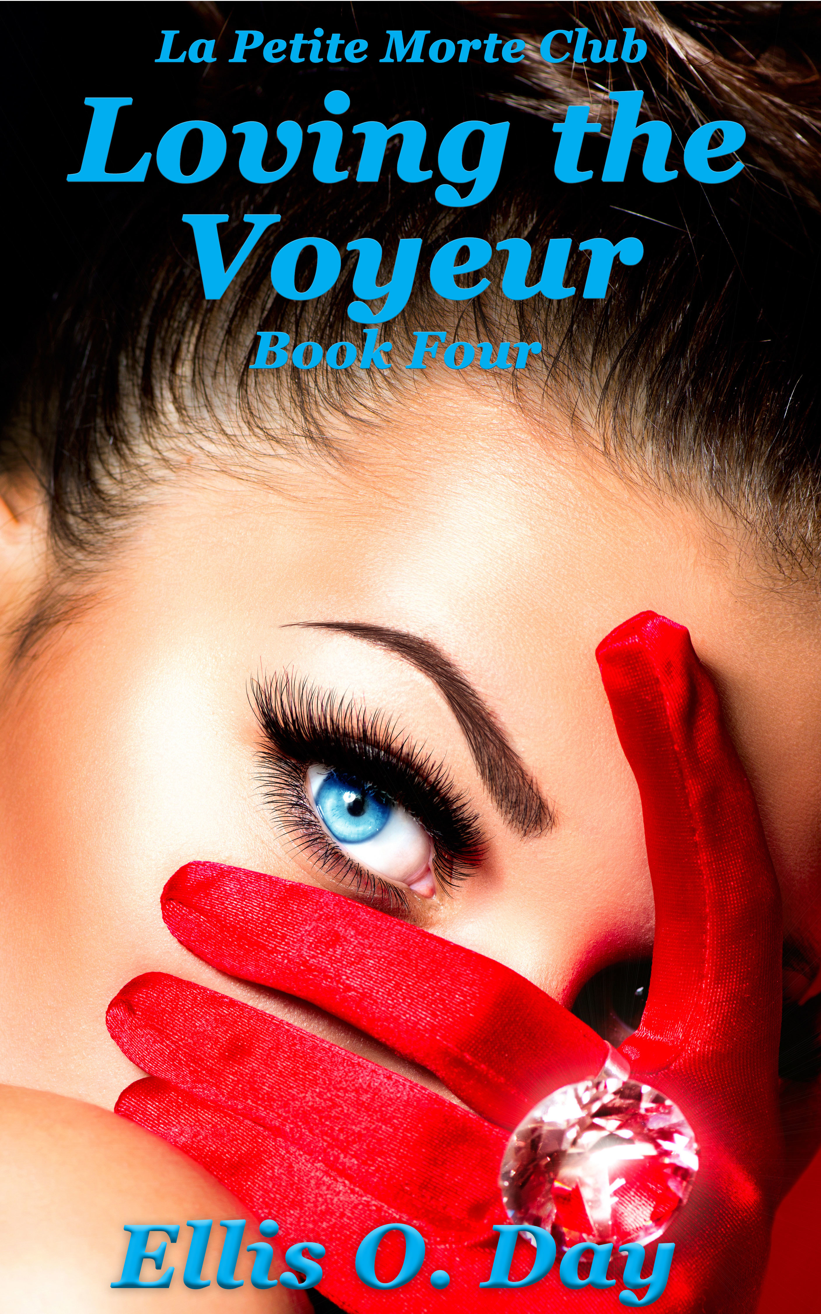 Loving the Voyeur book cover