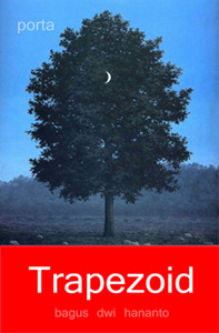 Trapezoid book cover