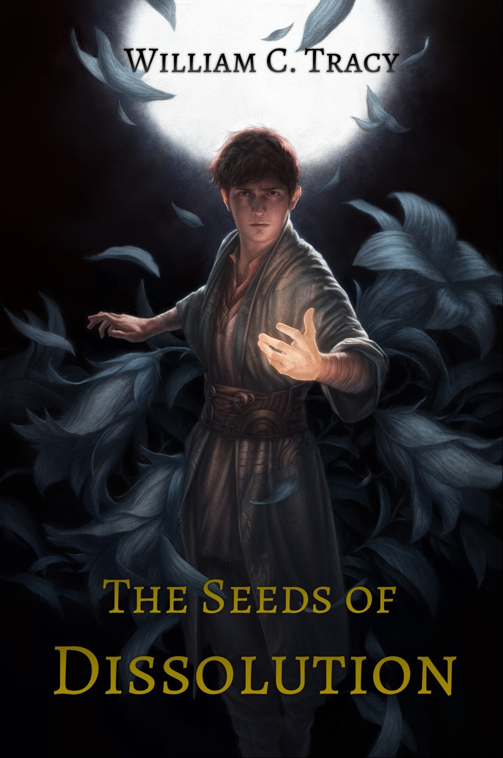 The Seeds of Dissolution book cover